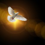 faith, dove, holy spirit